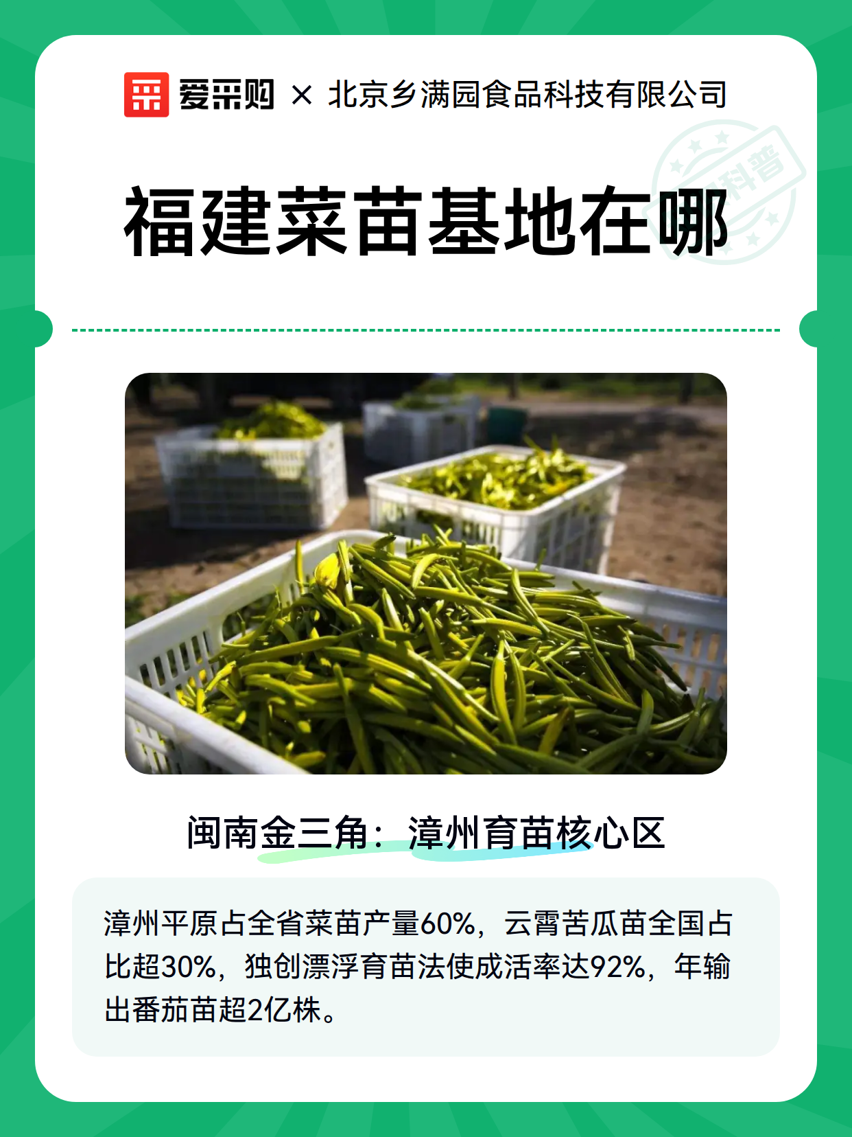 福建菜苗基地在哪（图2）