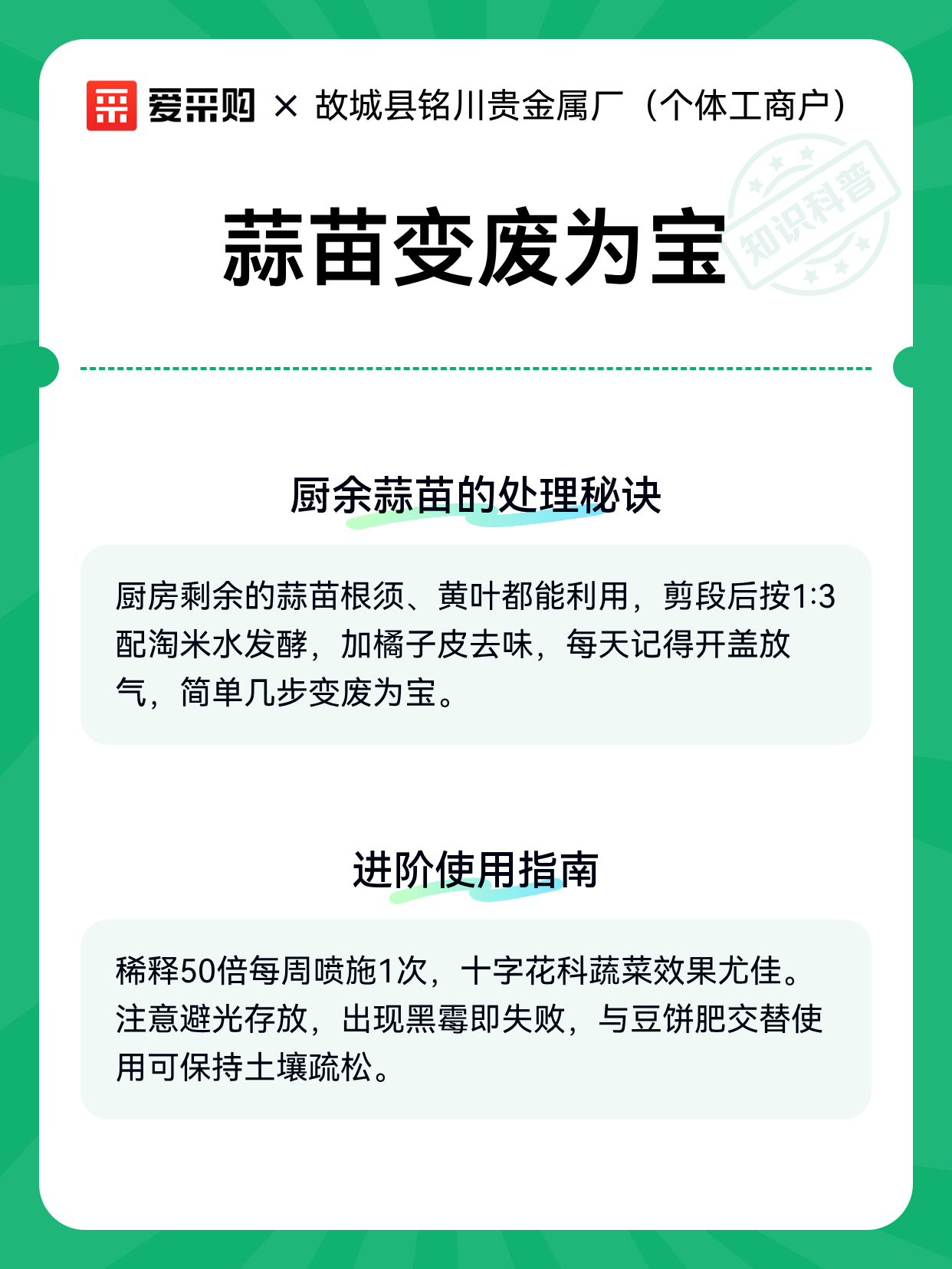 蒜苗变废为宝（图2）