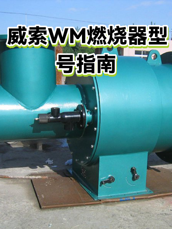 威索WM燃烧器型号指南（图1）