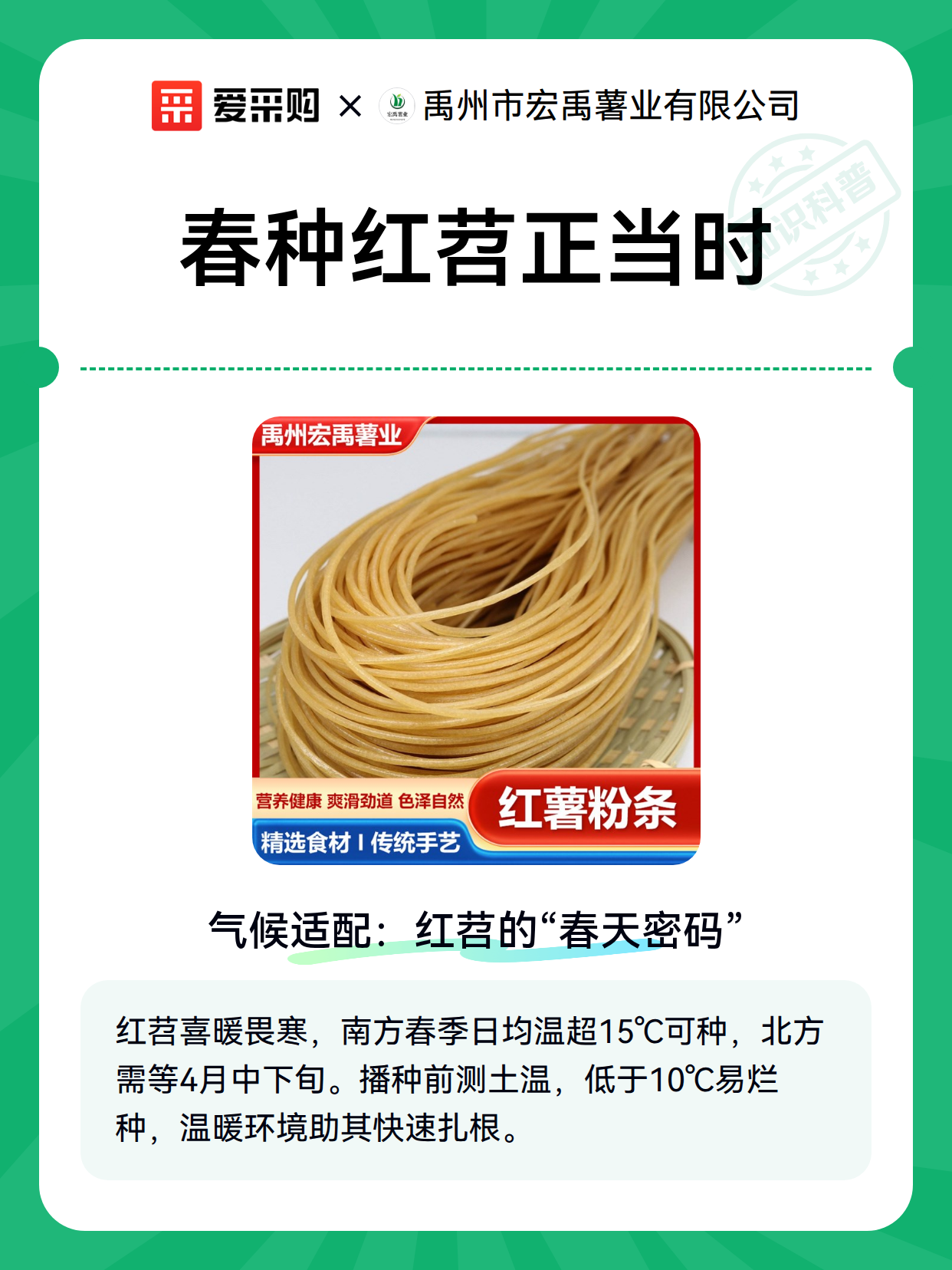 春种红苕正当时（图2）