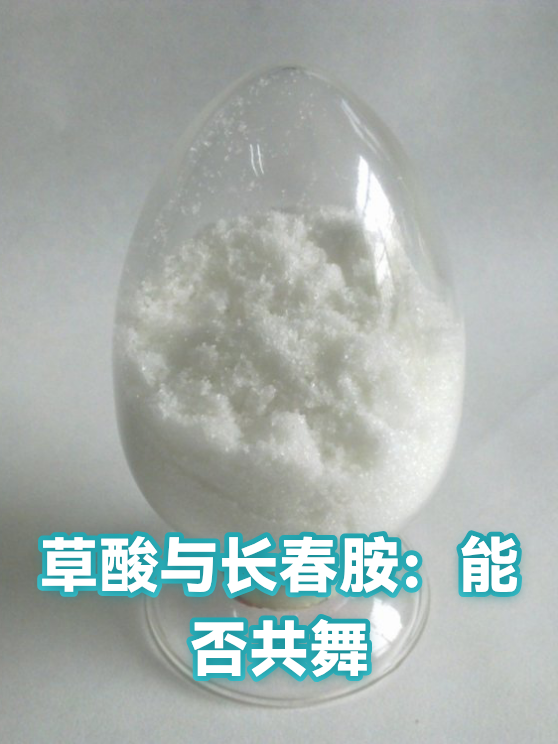 草酸与长春胺：能否共舞（图1）