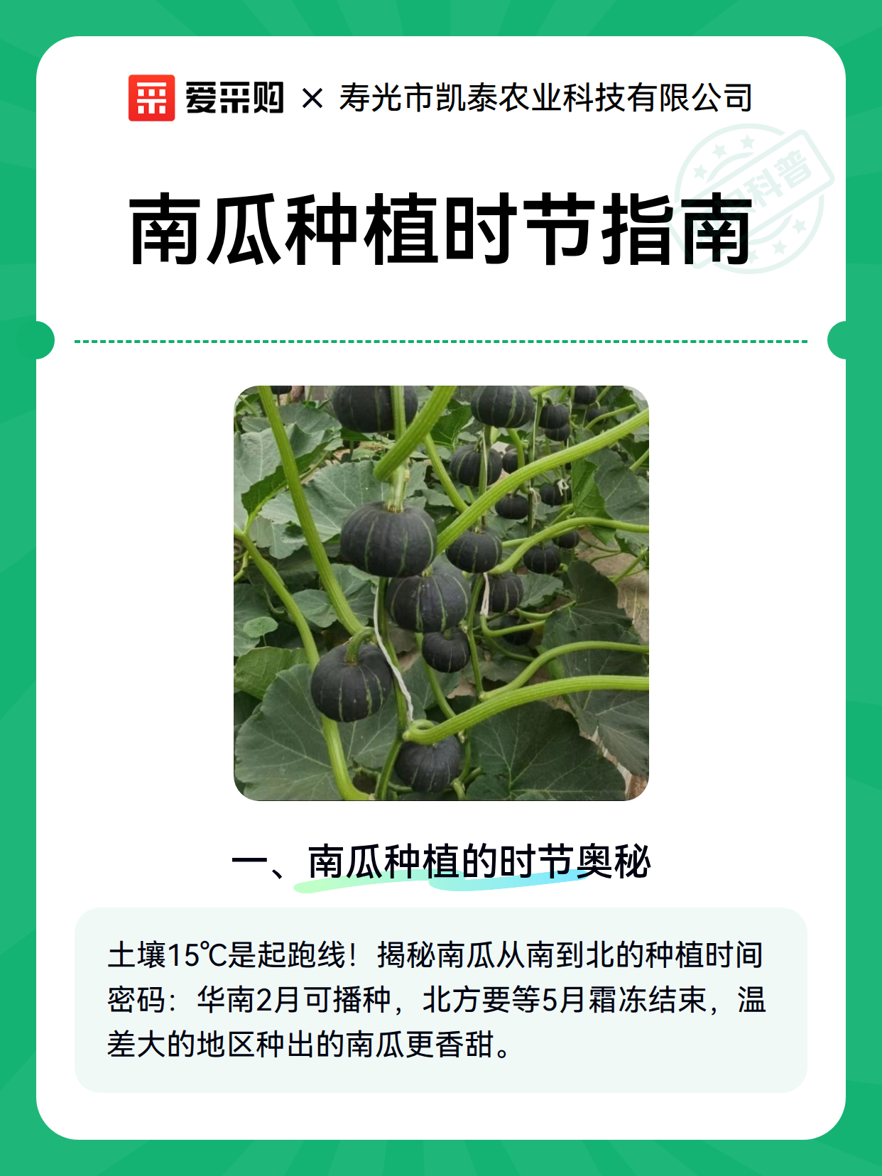 南瓜种植时节指南（图2）