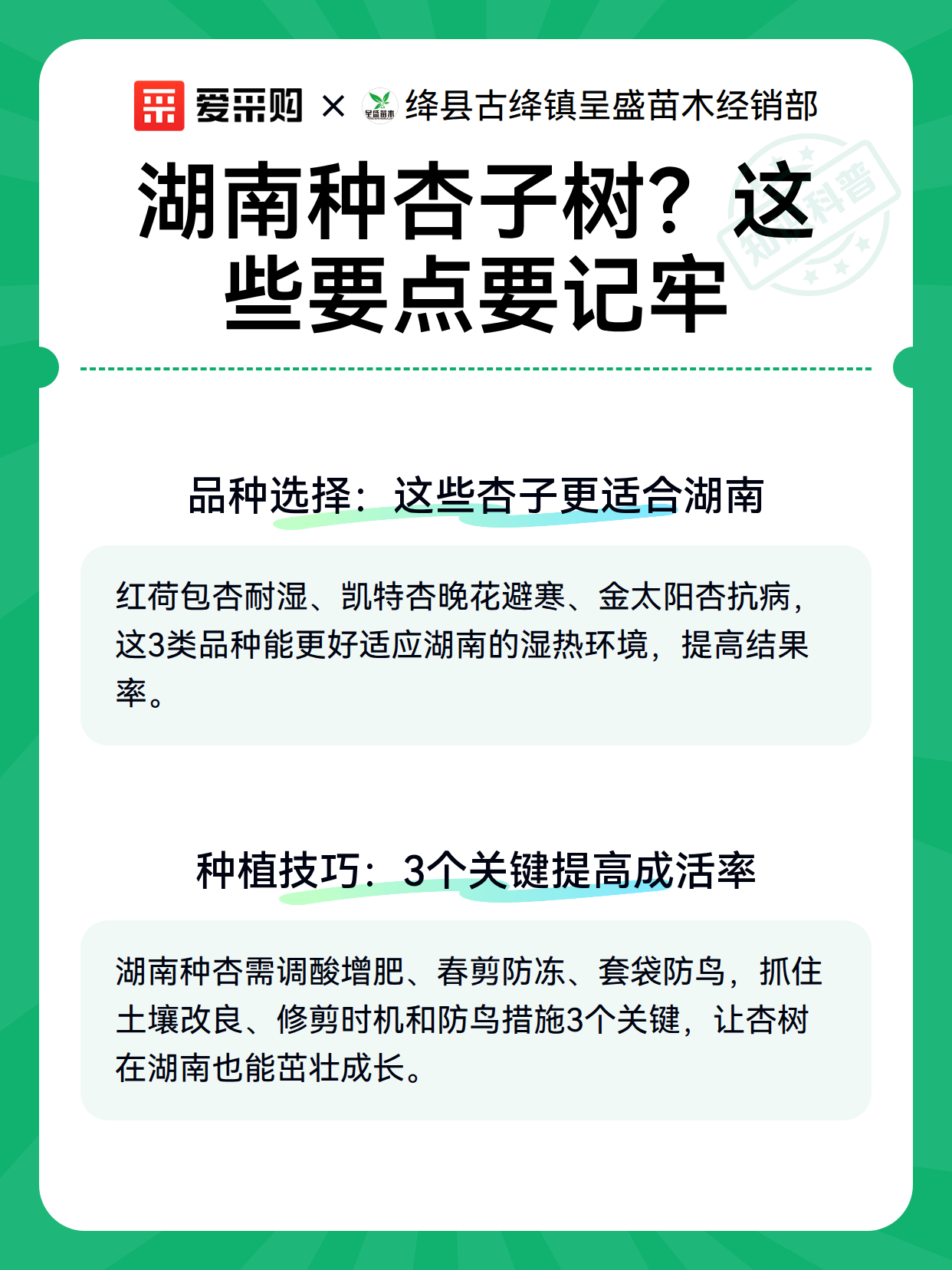 湖南种杏子树？这些要点要记牢（图3）