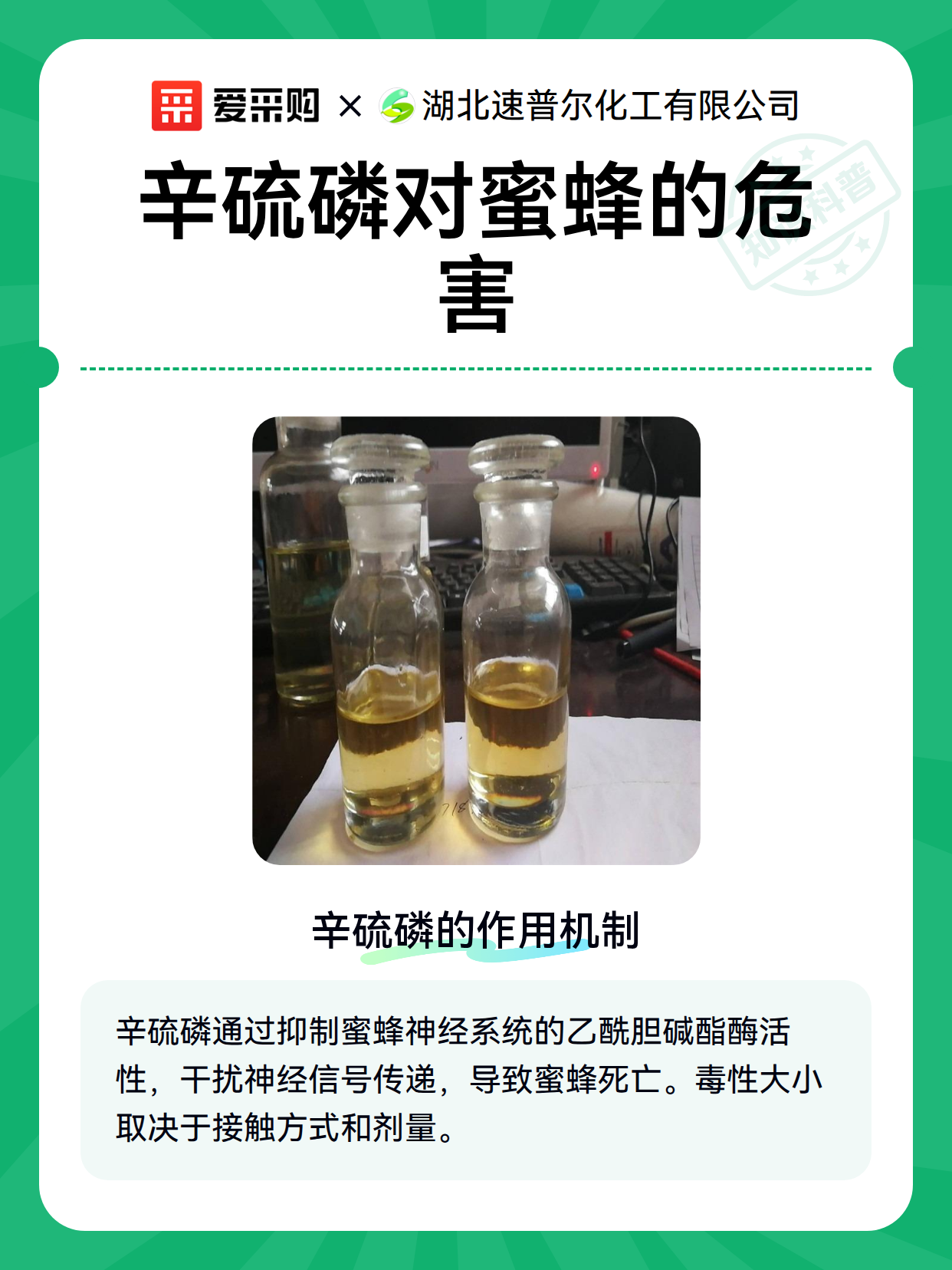 辛硫磷对蜜蜂的危害（图2）