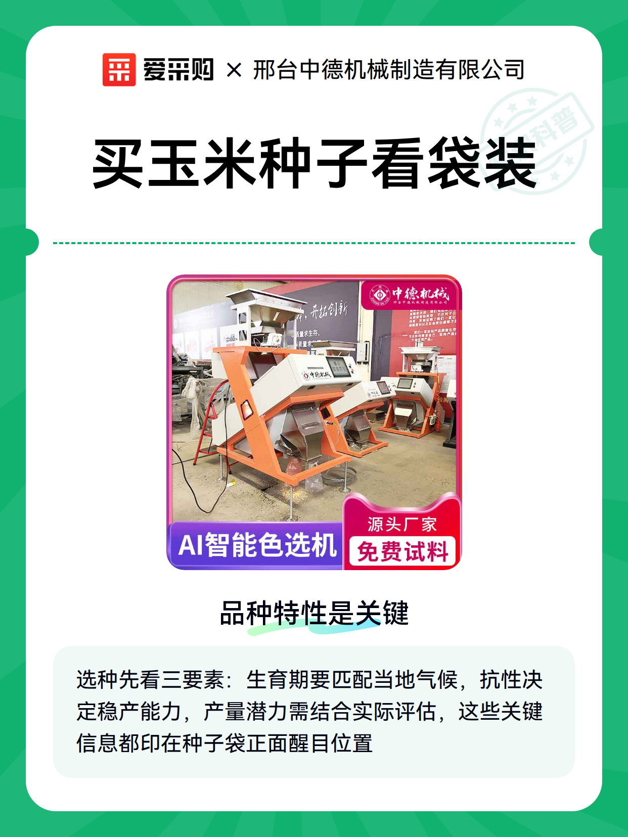 买玉米种子看袋装（图2）