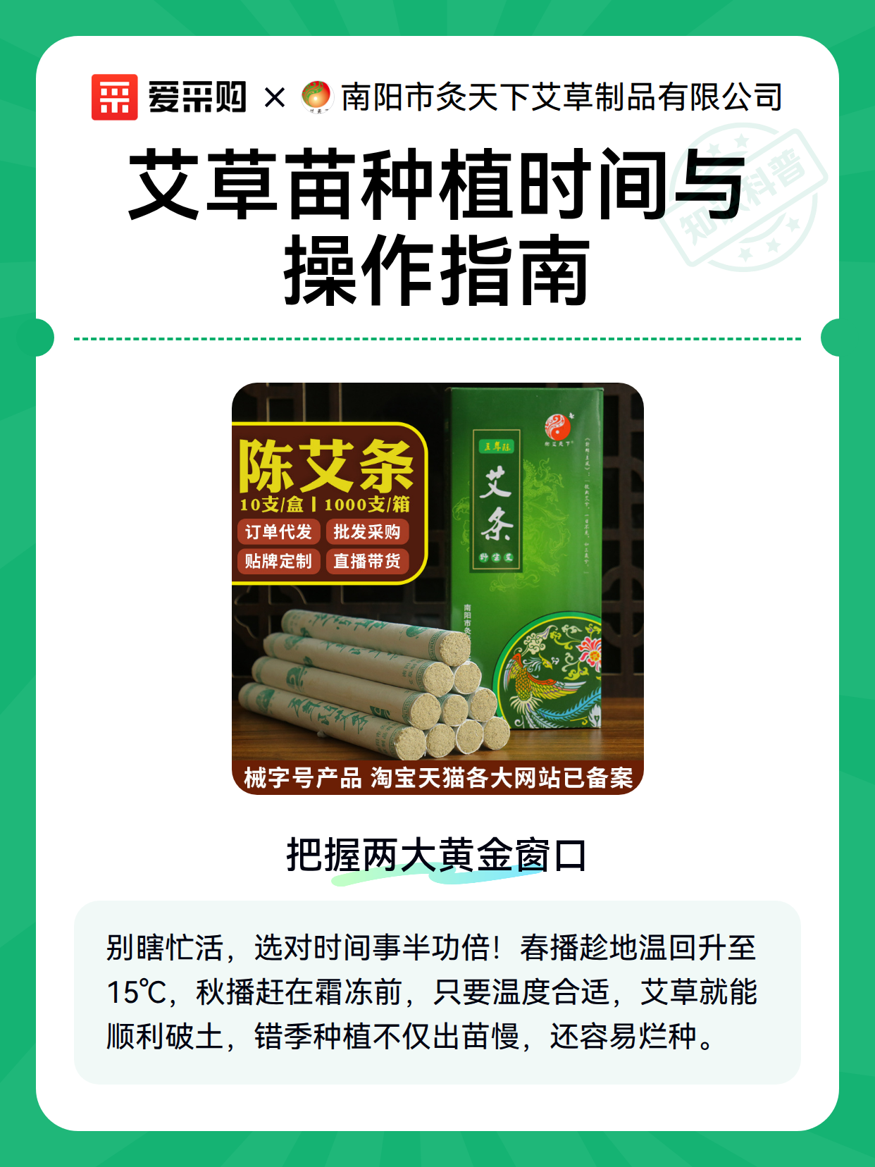艾草苗种植时间与操作指南（图1）