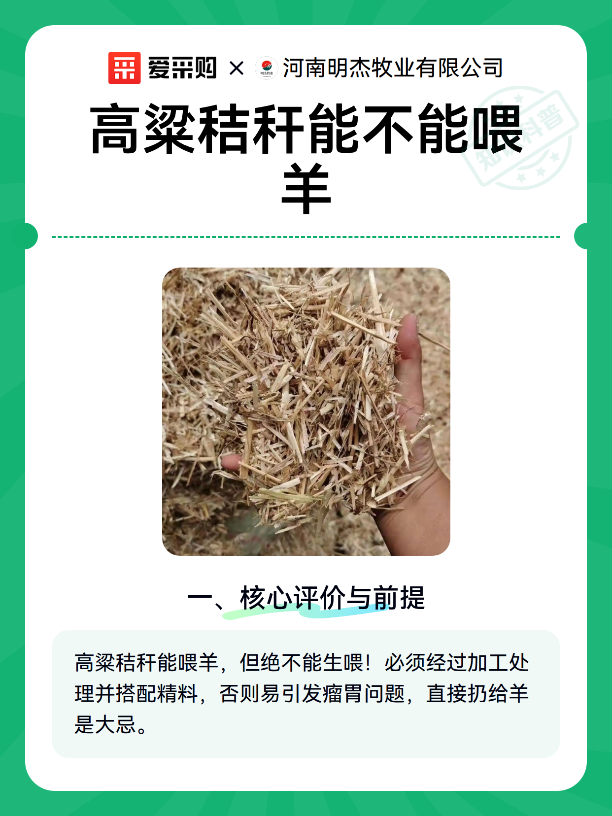 高粱秸秆能不能喂羊（图2）