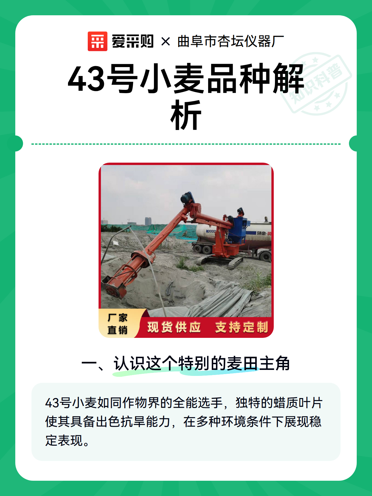 43号小麦品种解析（图2）