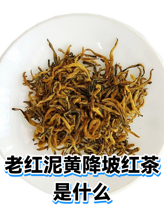 老红泥黄降坡红茶是什么（图1）