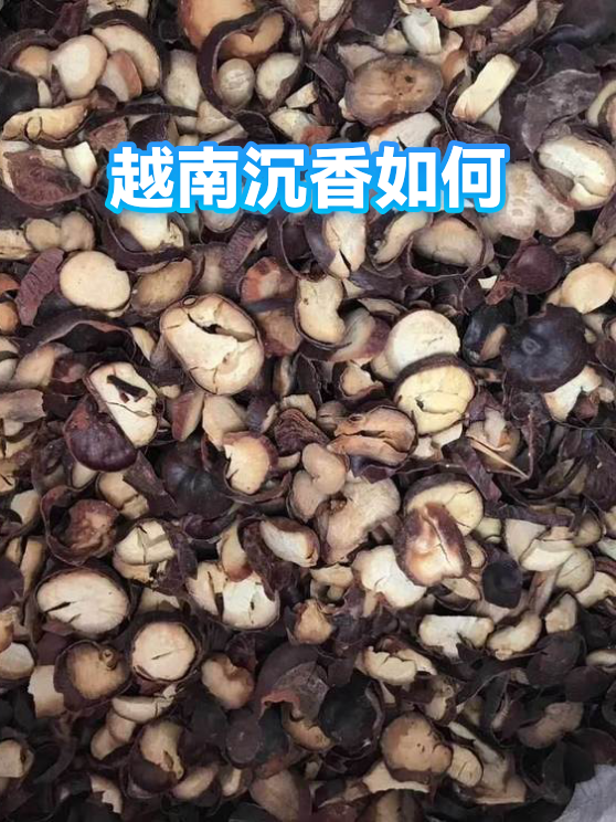 越南沉香如何（图1）