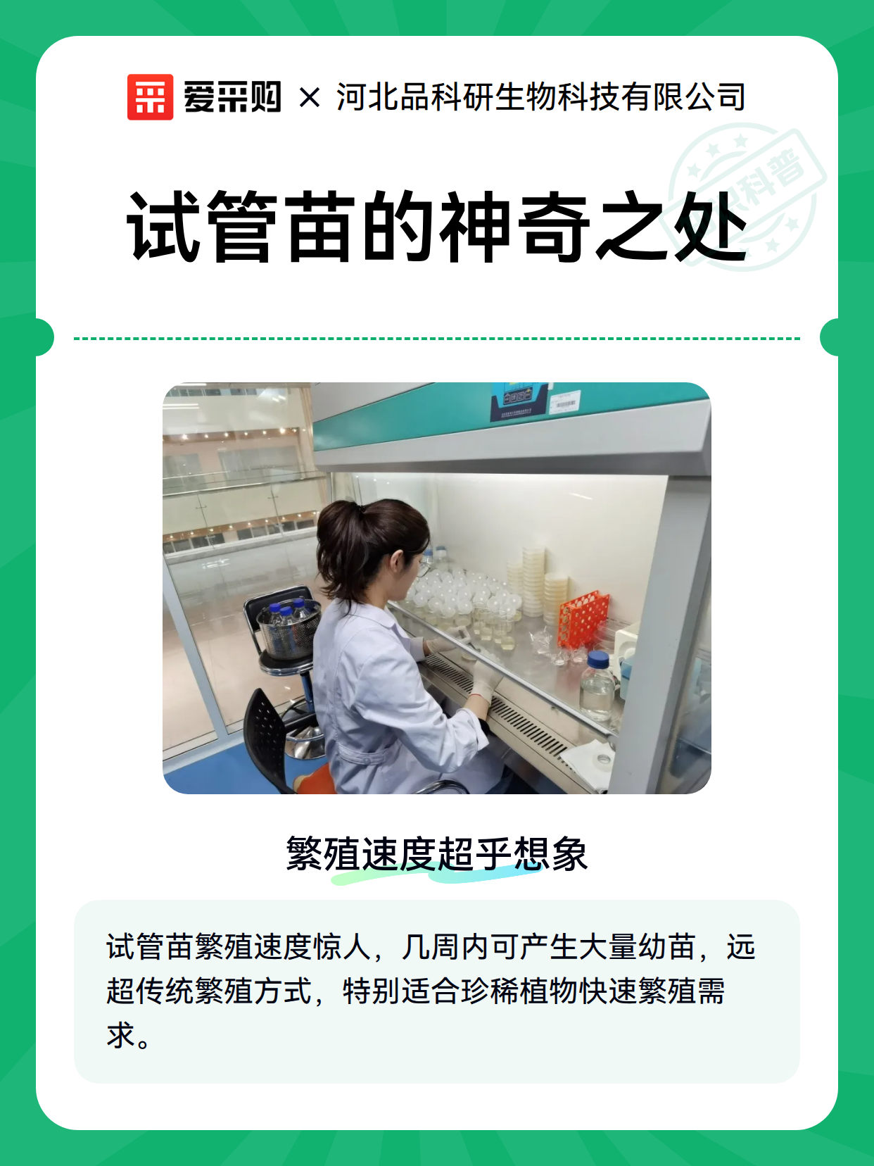 试管苗的神奇之处（图1）
