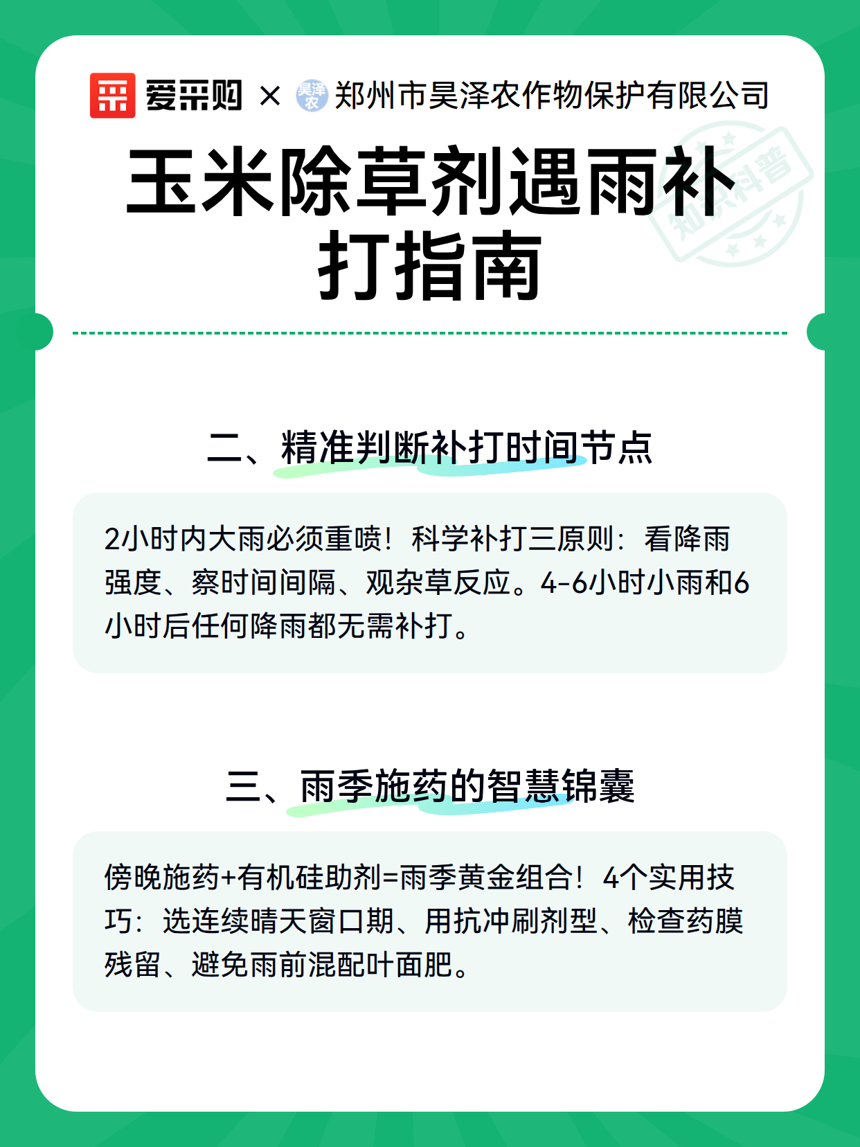 玉米除草剂遇雨补打指南（图3）