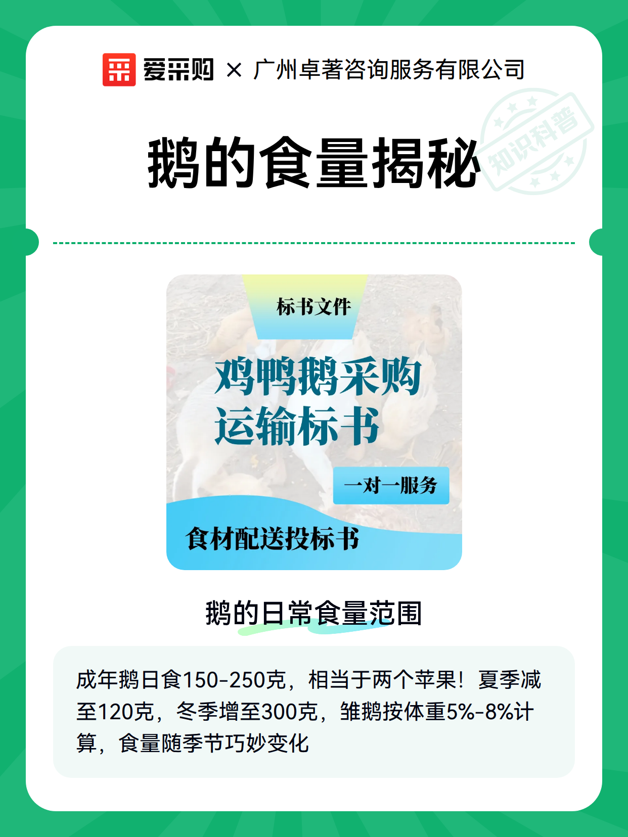 鹅的食量揭秘（图1）