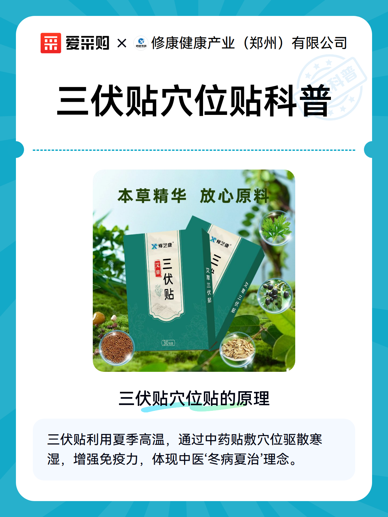 三伏贴穴位贴科普（图2）