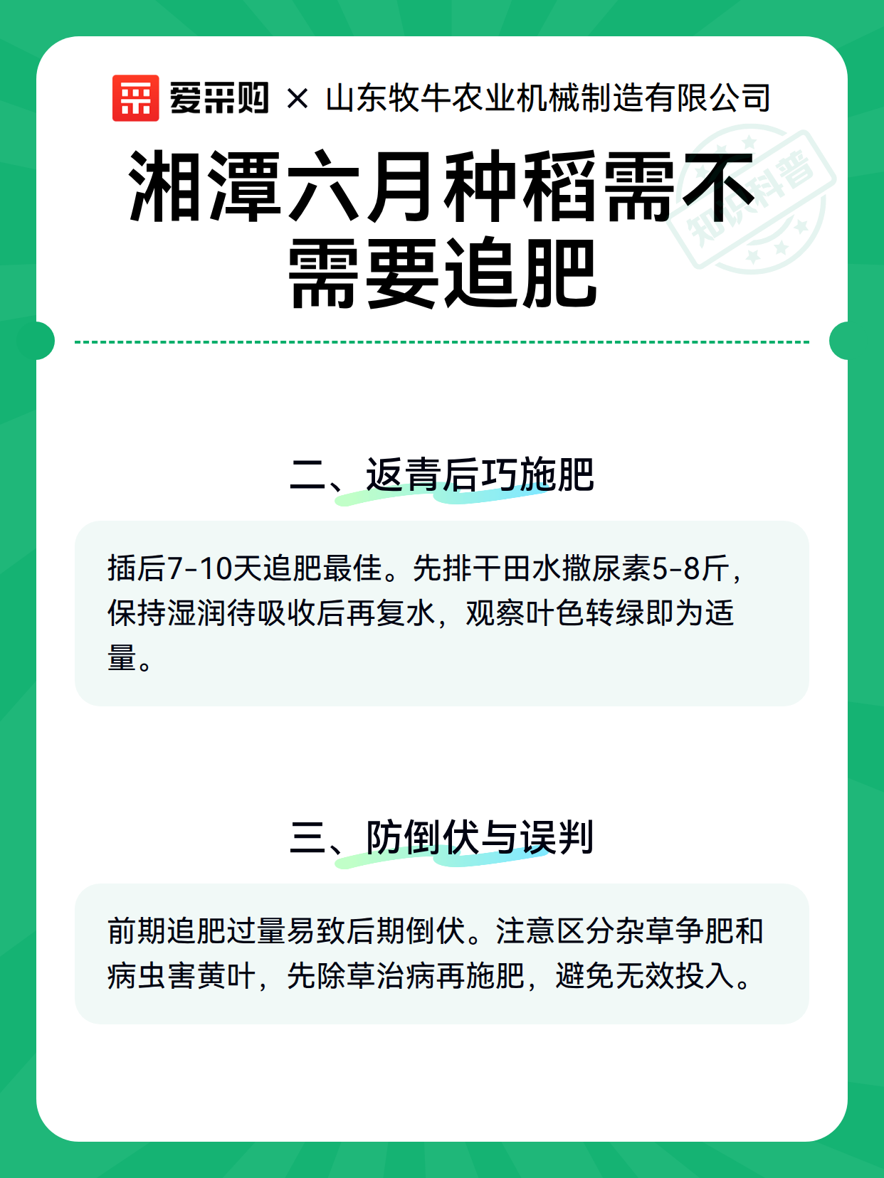 湘潭六月种稻需不需要追肥（图3）