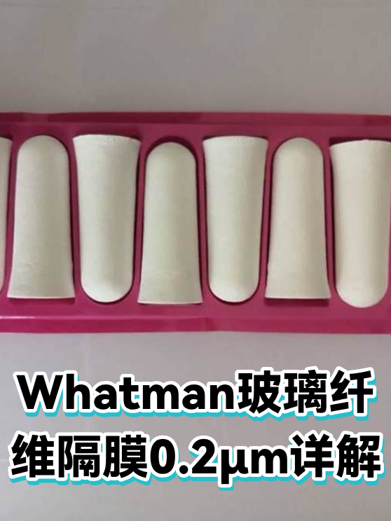Whatman玻璃纤维隔膜0.2μm详解（图1）
