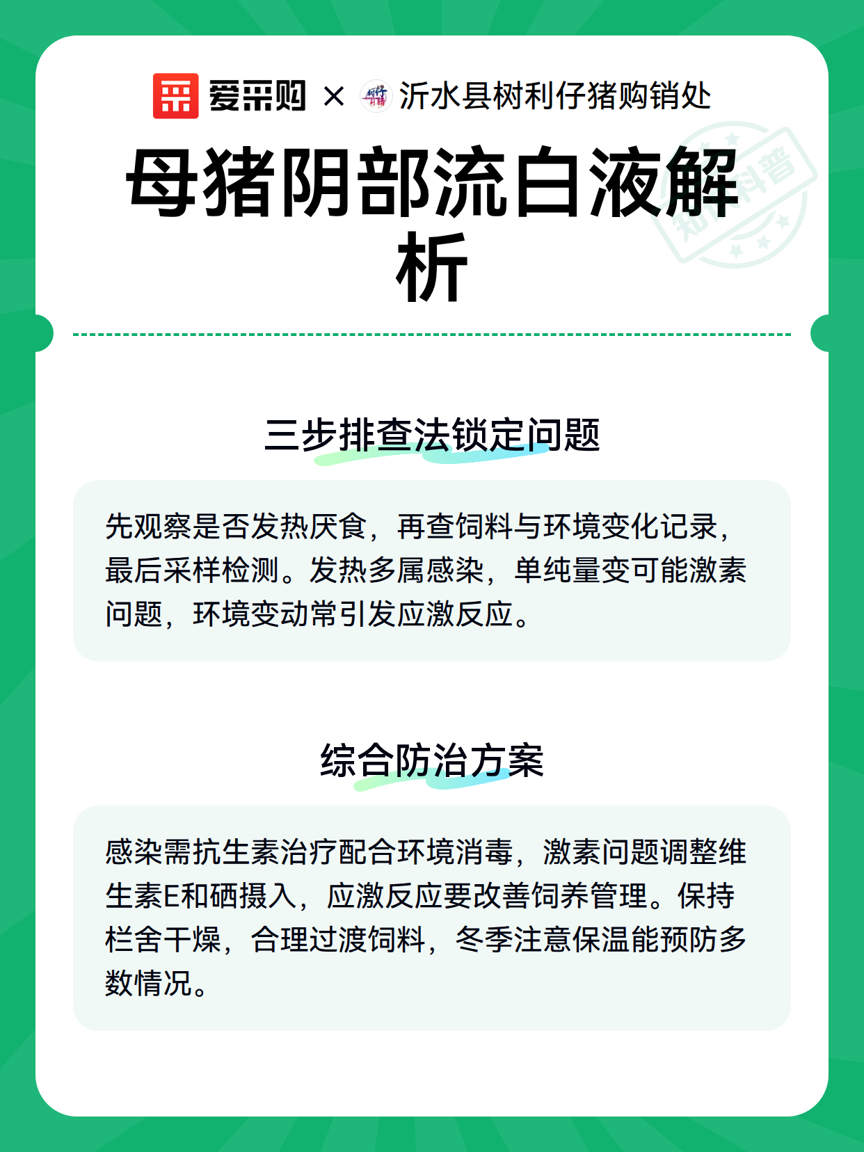 母猪阴部流白液解析（图3）