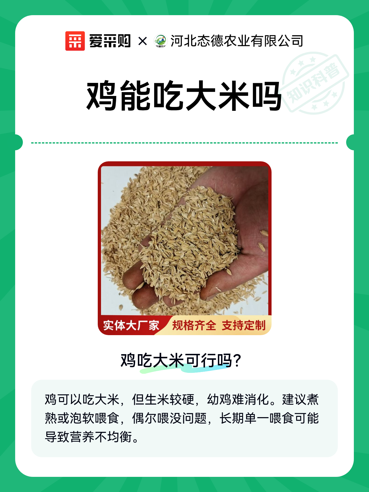 鸡能吃大米吗（图1）