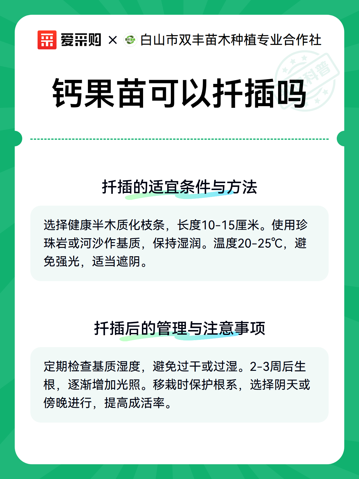钙果苗可以扦插吗（图3）