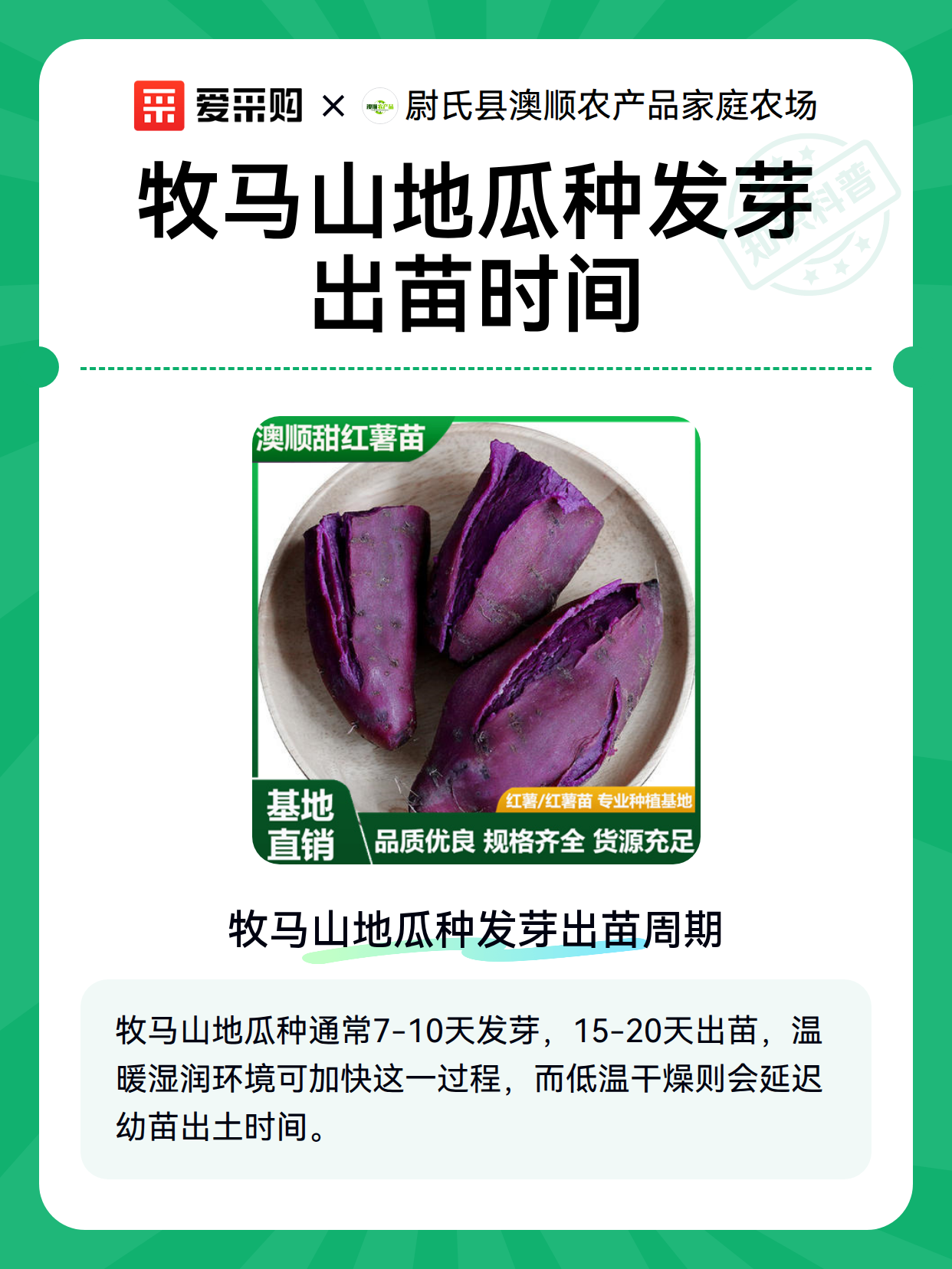 牧马山地瓜种发芽出苗时间（图2）