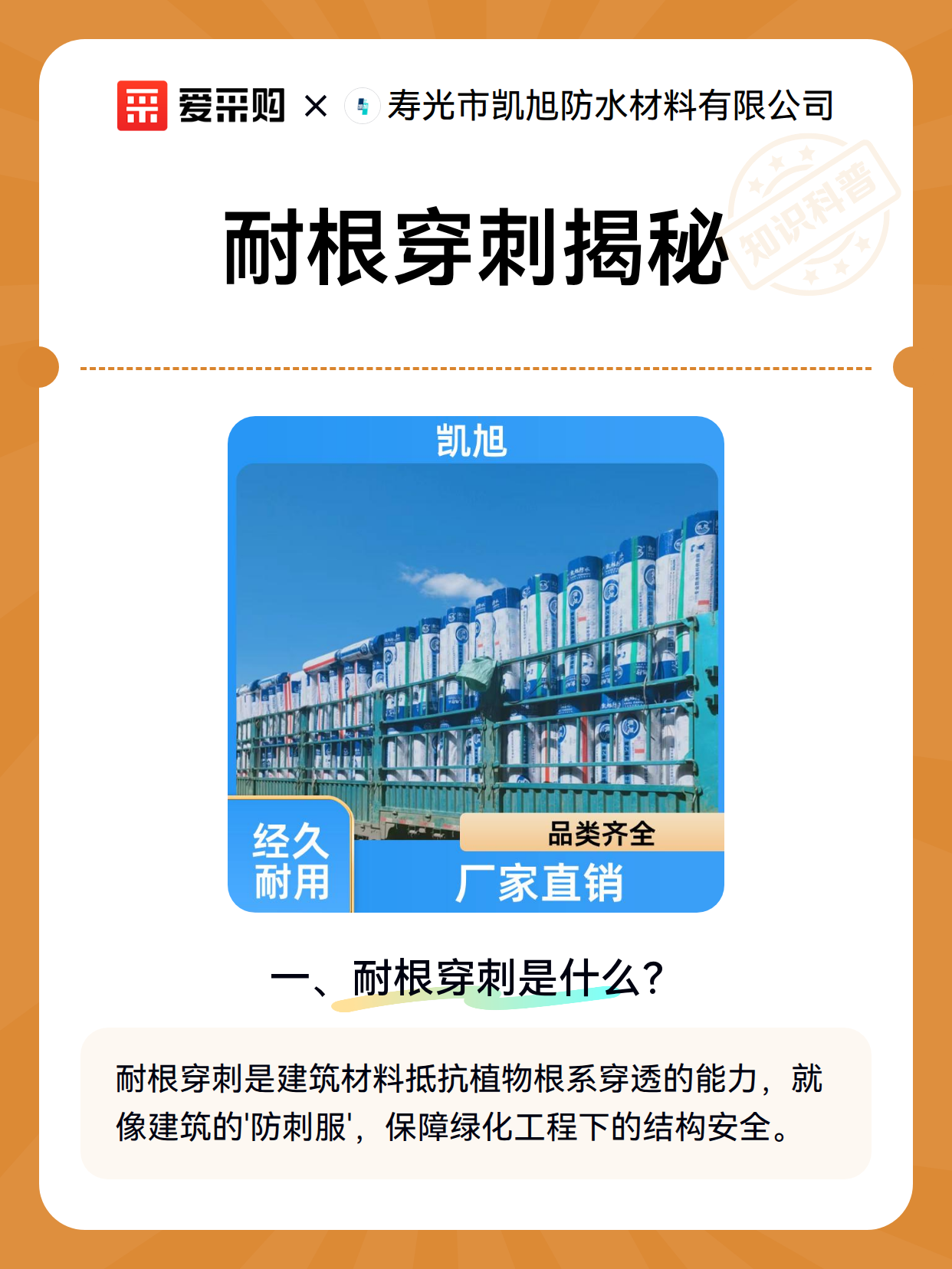 耐根穿刺揭秘（图2）