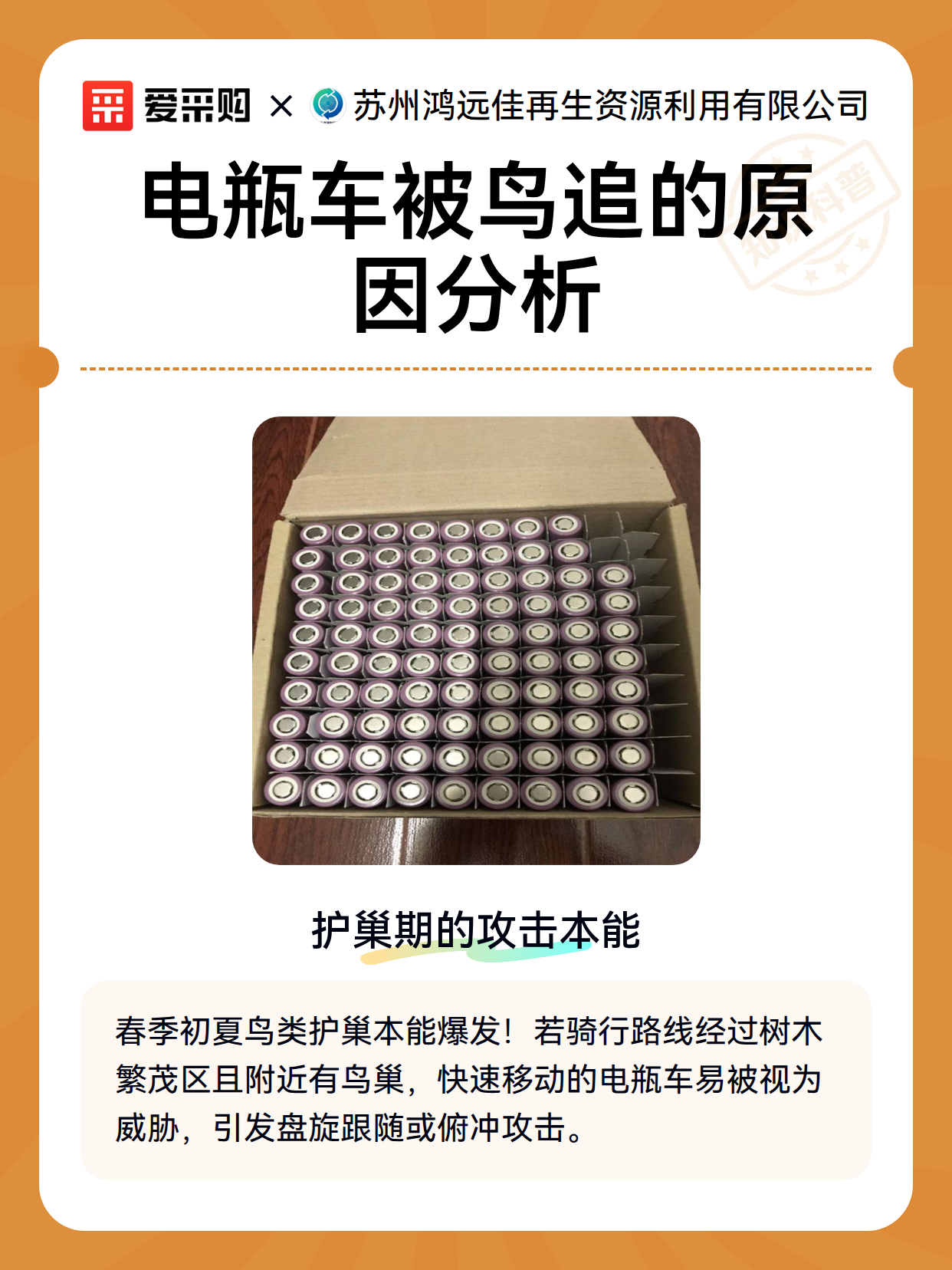 电瓶车被鸟追的原因分析（图2）