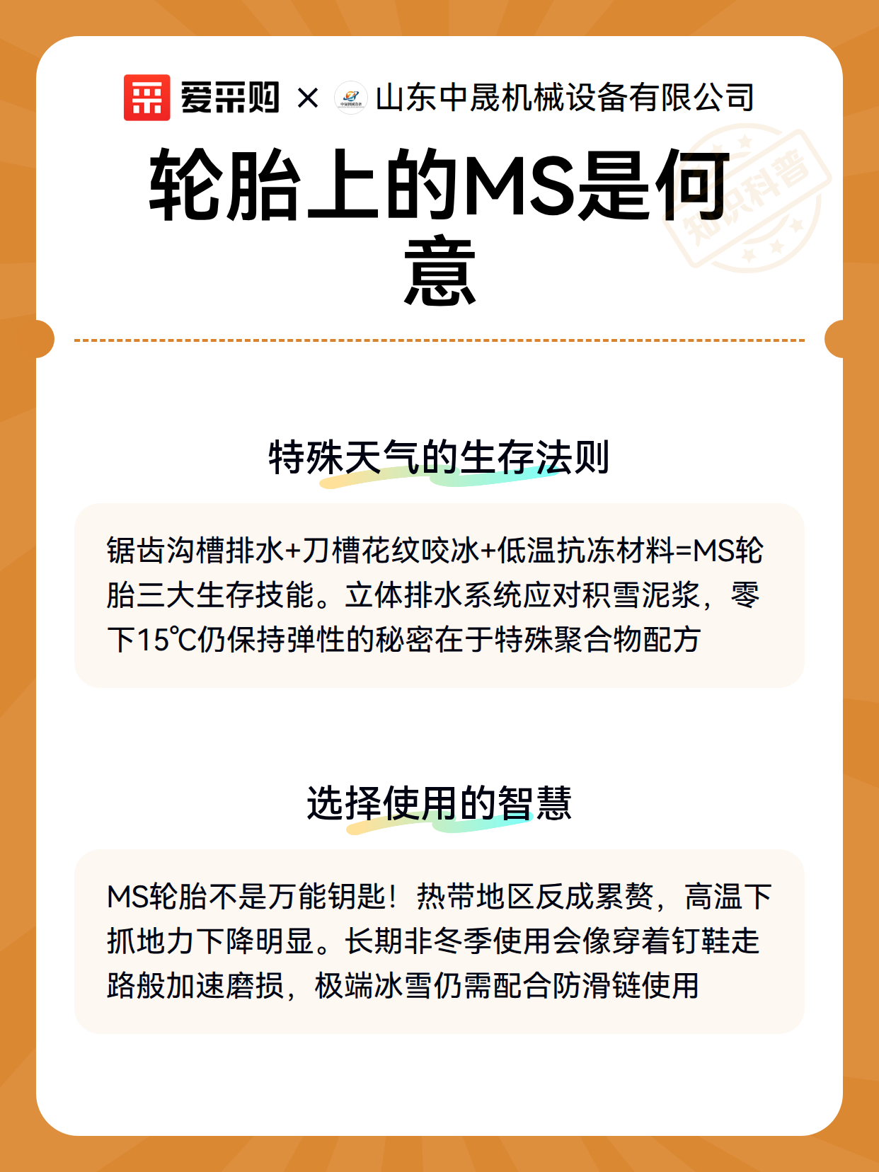 轮胎上的MS是何意（图3）