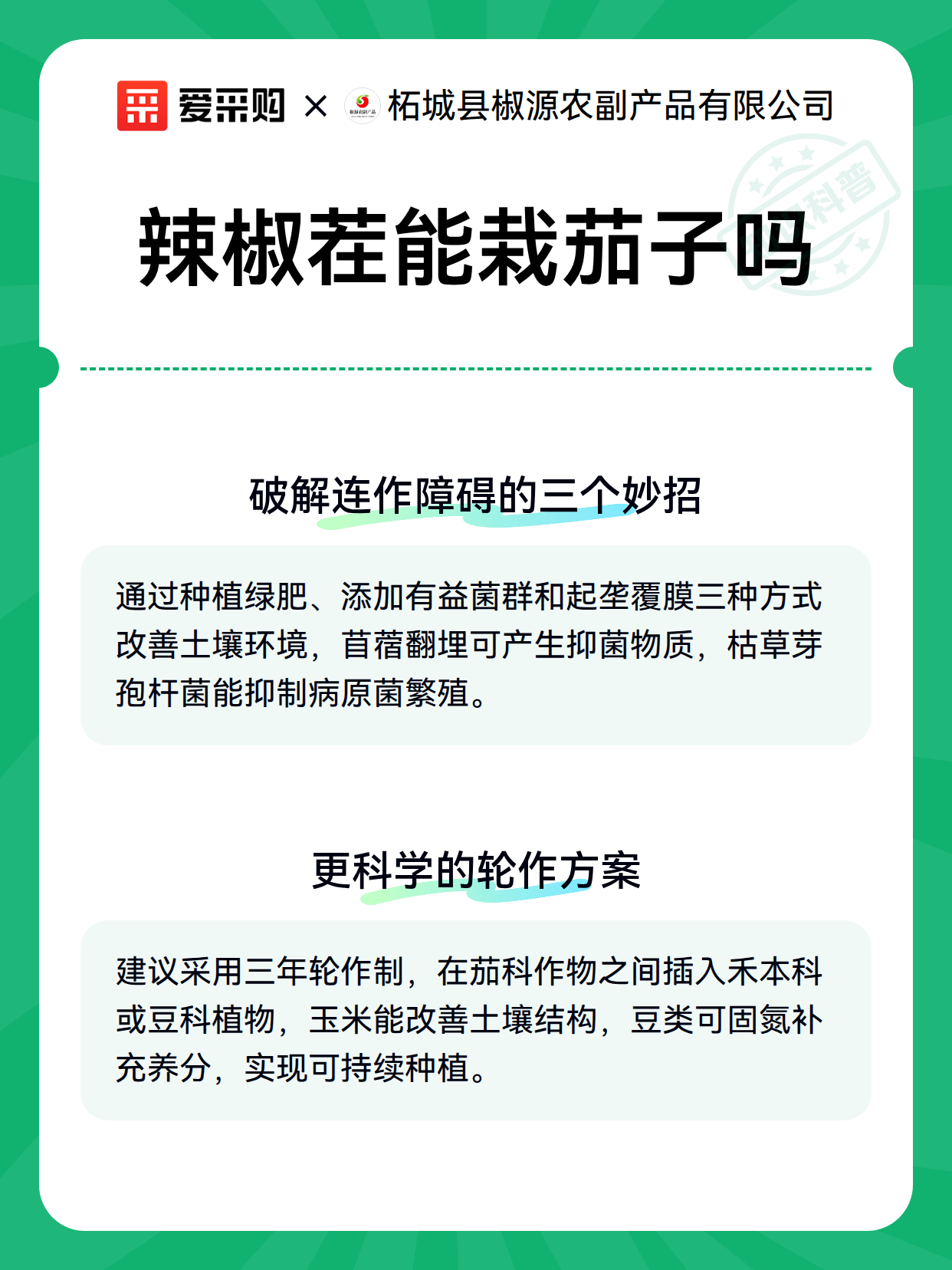辣椒茬能栽茄子吗（图3）