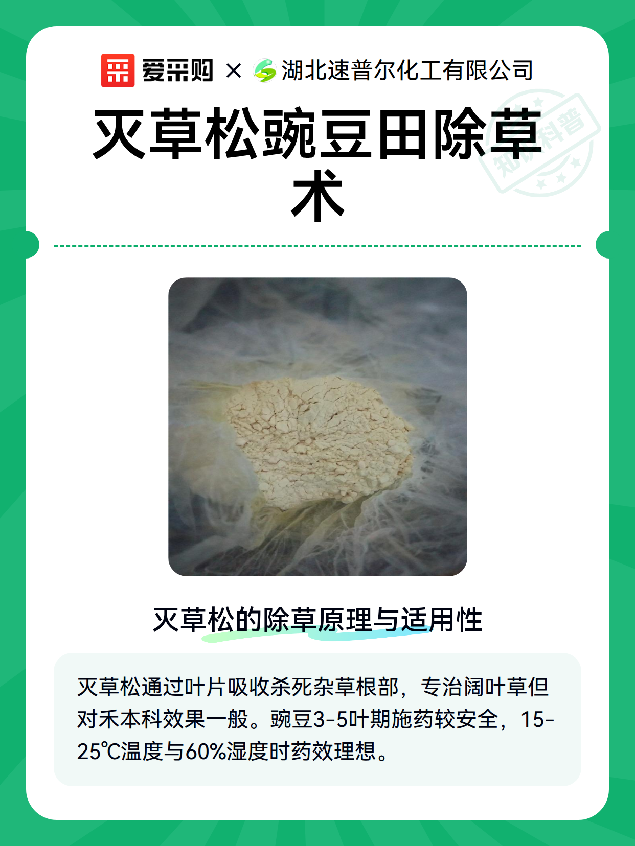 灭草松豌豆田除草术（图2）