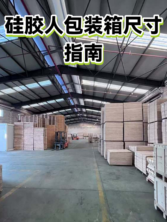 硅胶人包装箱尺寸指南（图1）