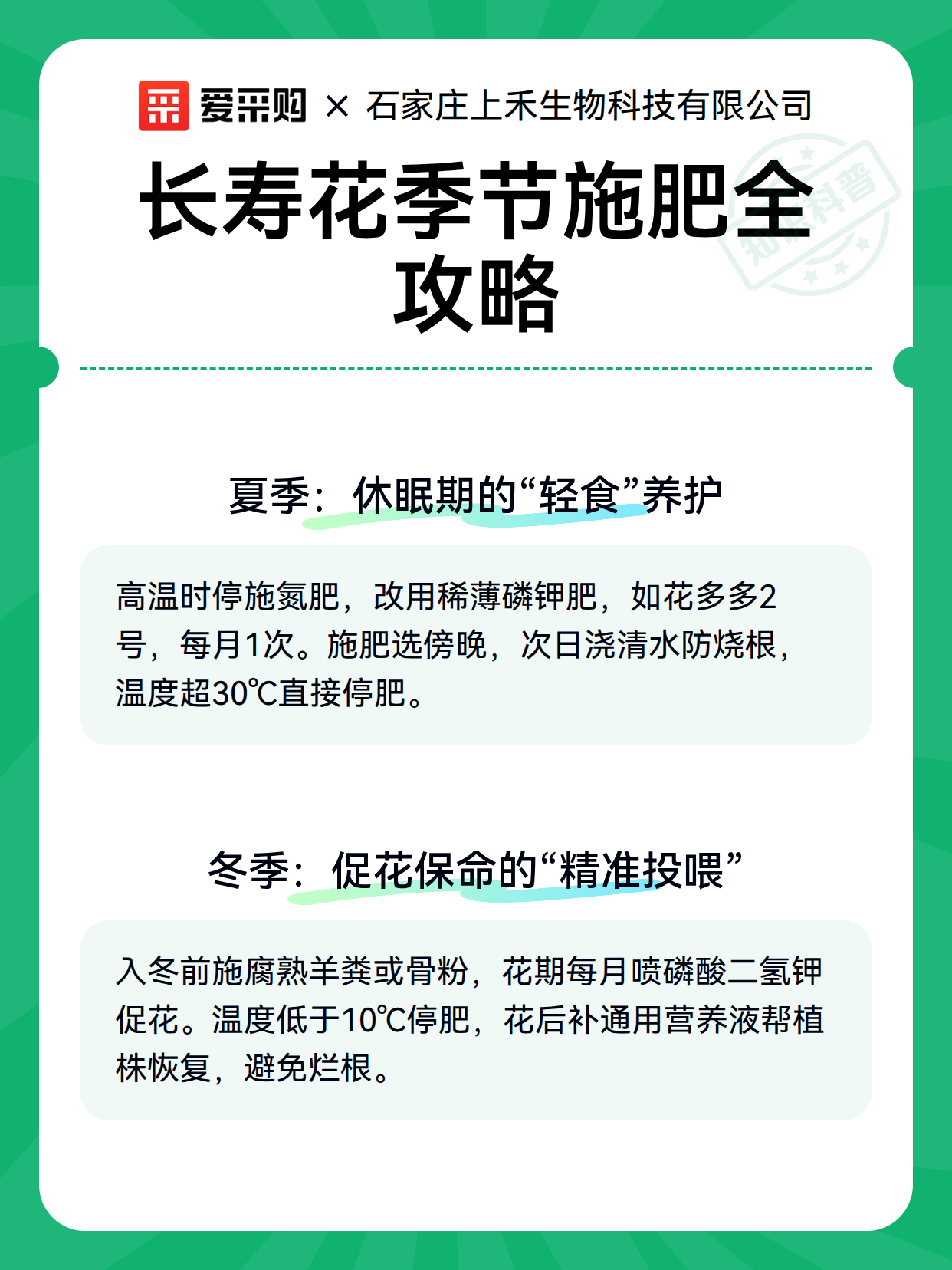 长寿花季节施肥全攻略（图2）