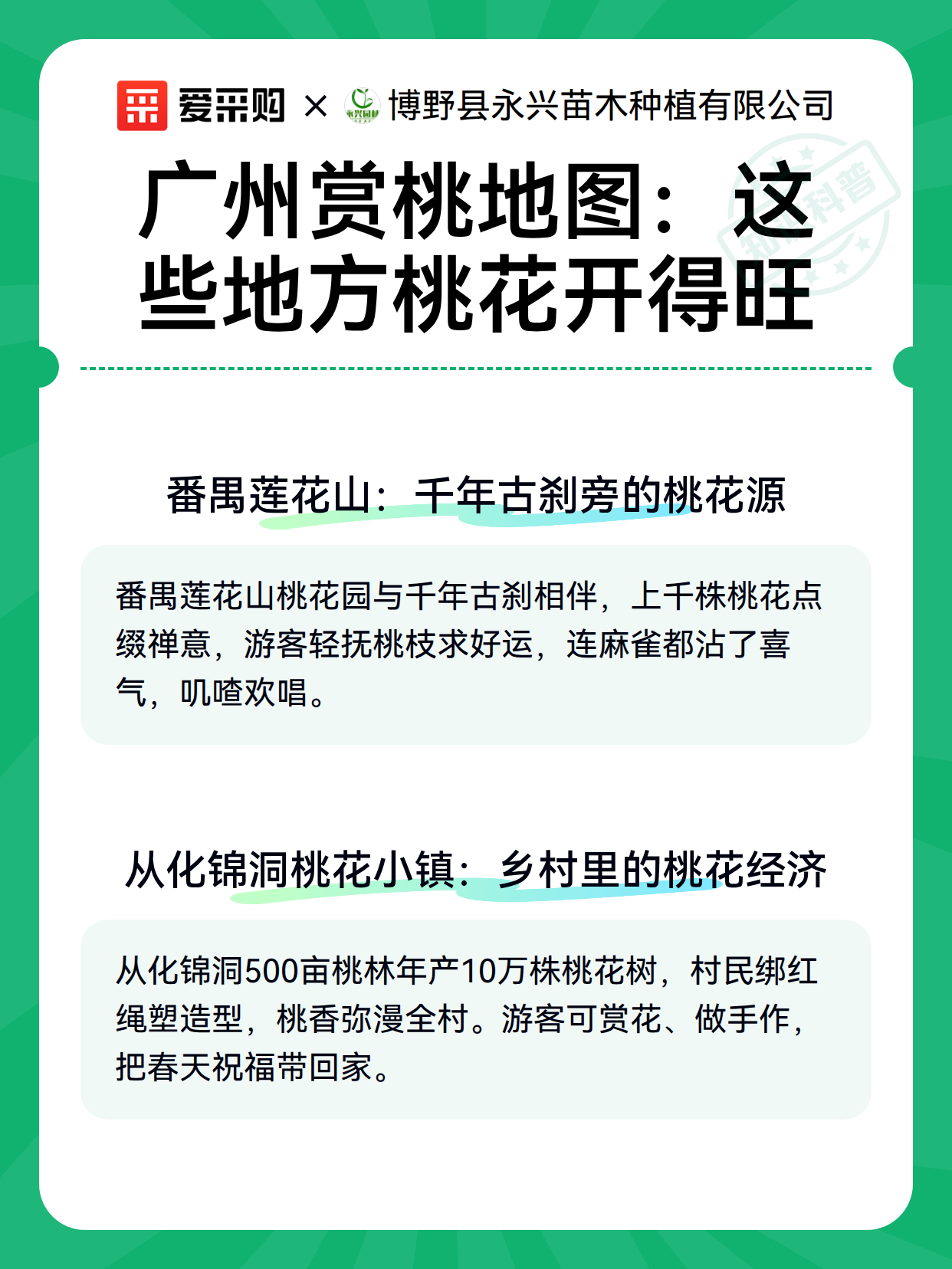 广州赏桃地图：这些地方桃花开得旺（图2）