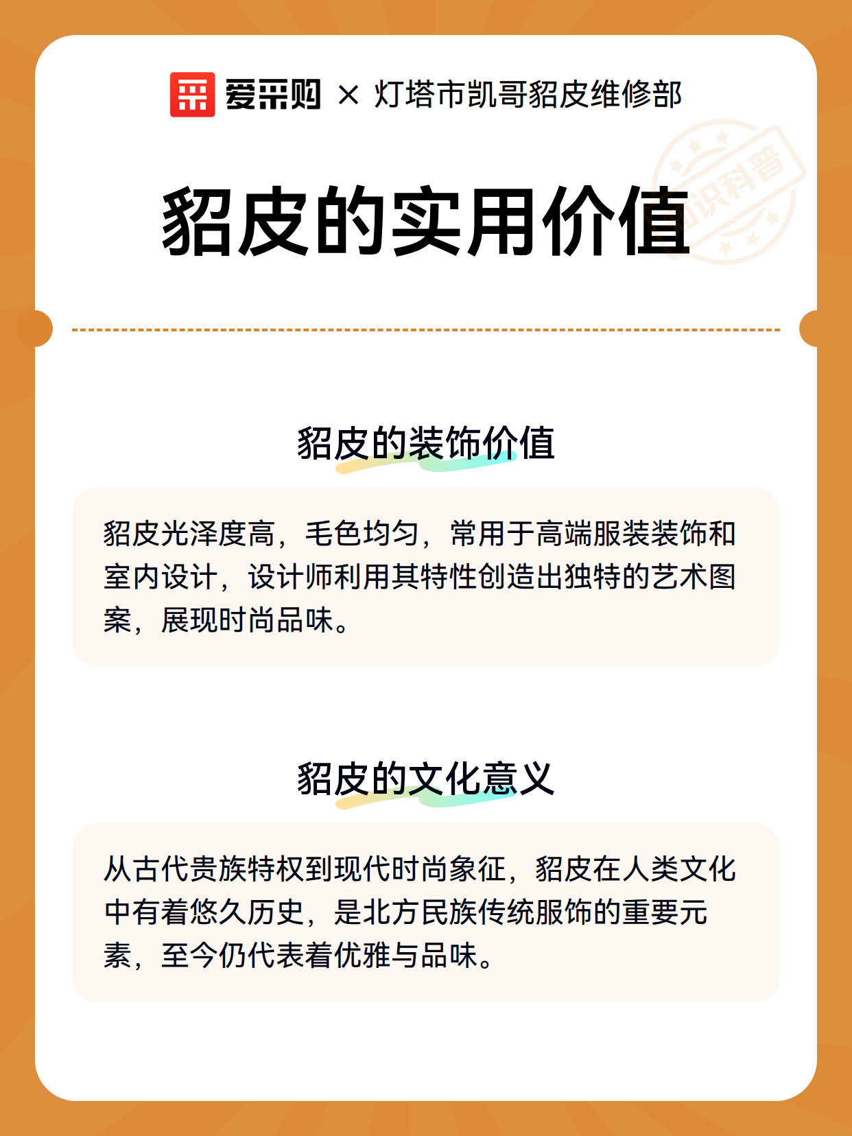 貂皮的实用价值（图2）