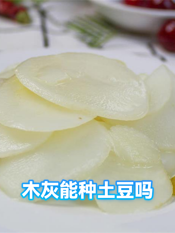 木灰能种土豆吗（图1）