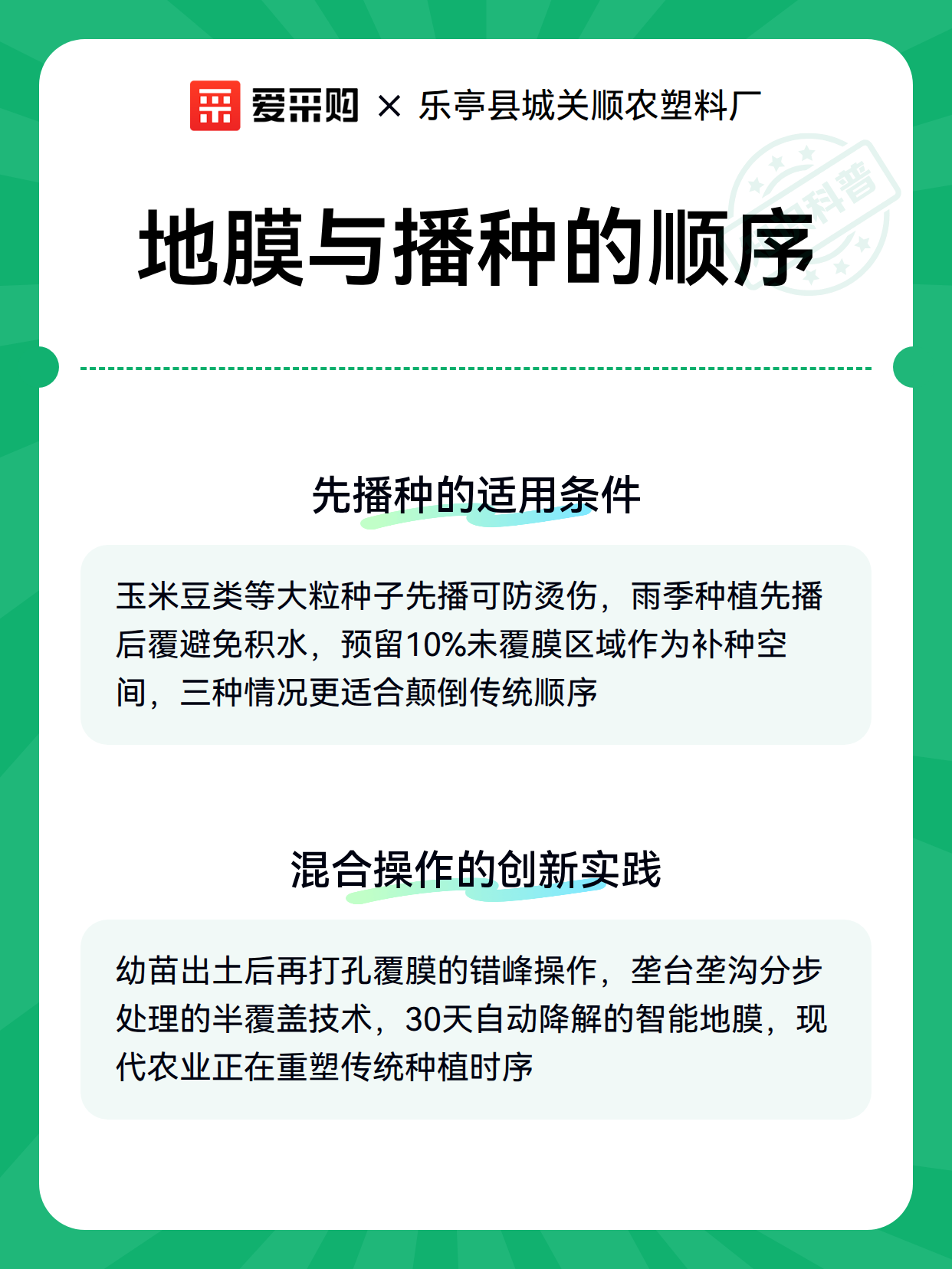 地膜与播种的顺序（图2）