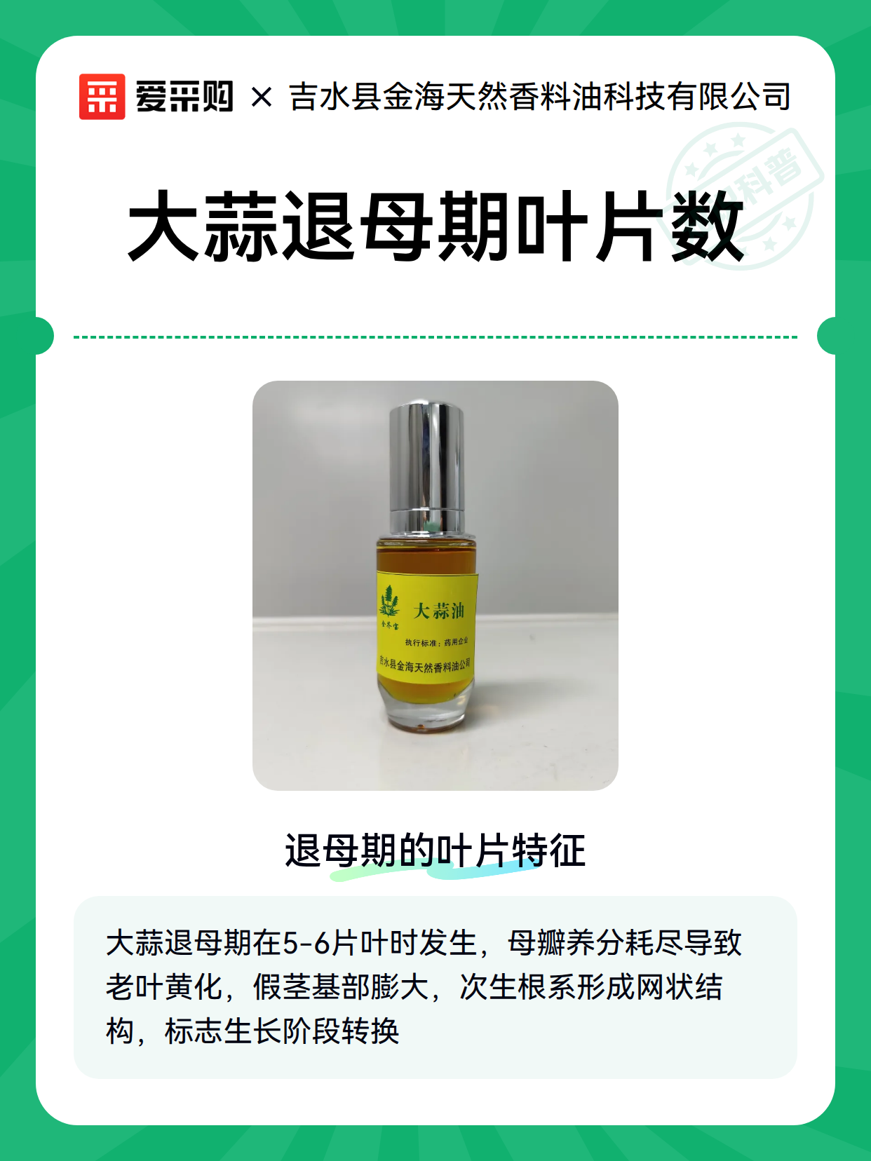 大蒜退母期叶片数（图2）