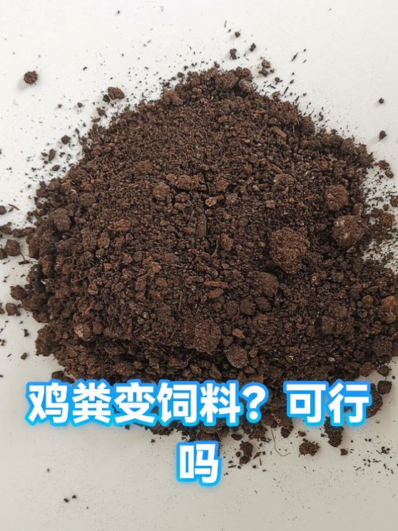 鸡粪变饲料？可行吗（图1）