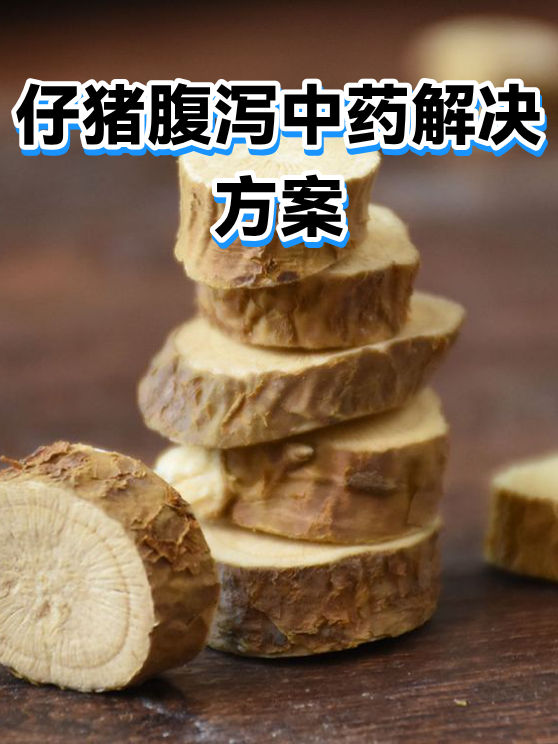 仔猪腹泻中药解决方案（图1）