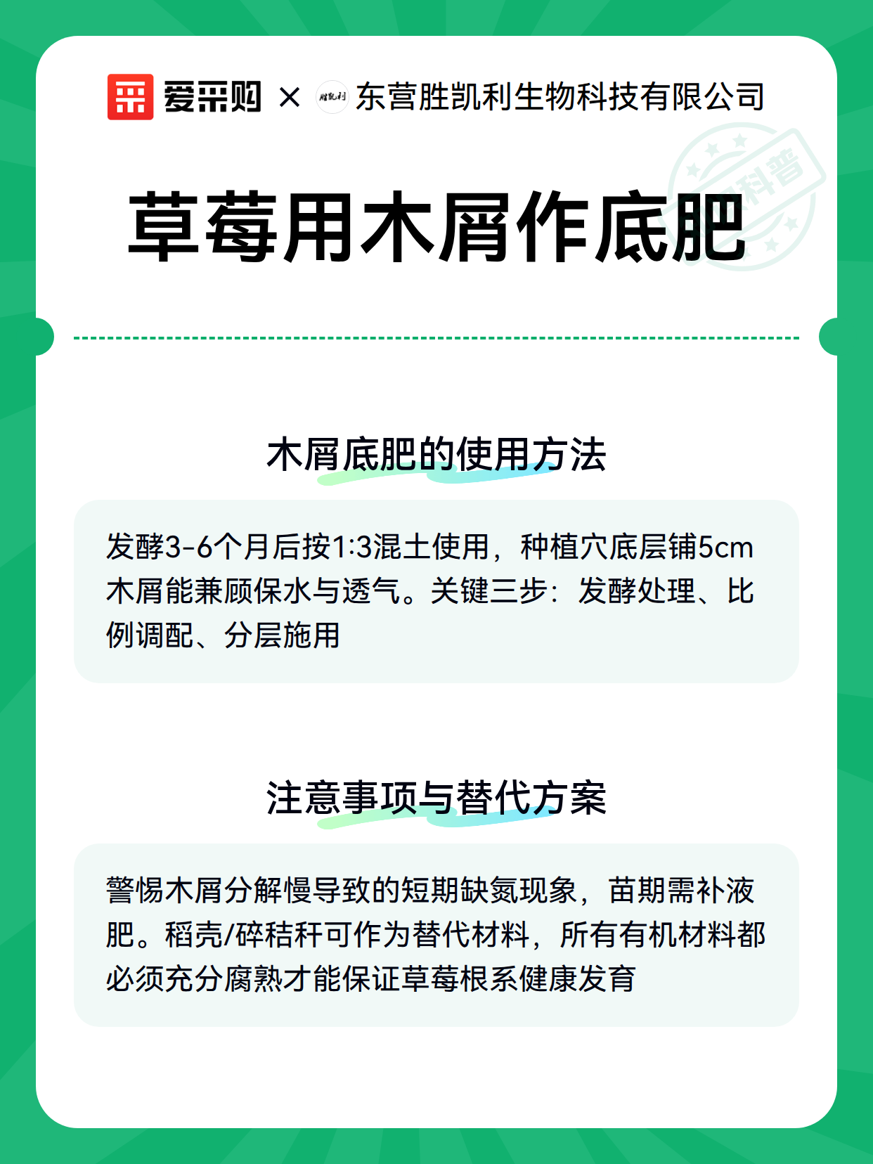 草莓用木屑作底肥（图2）