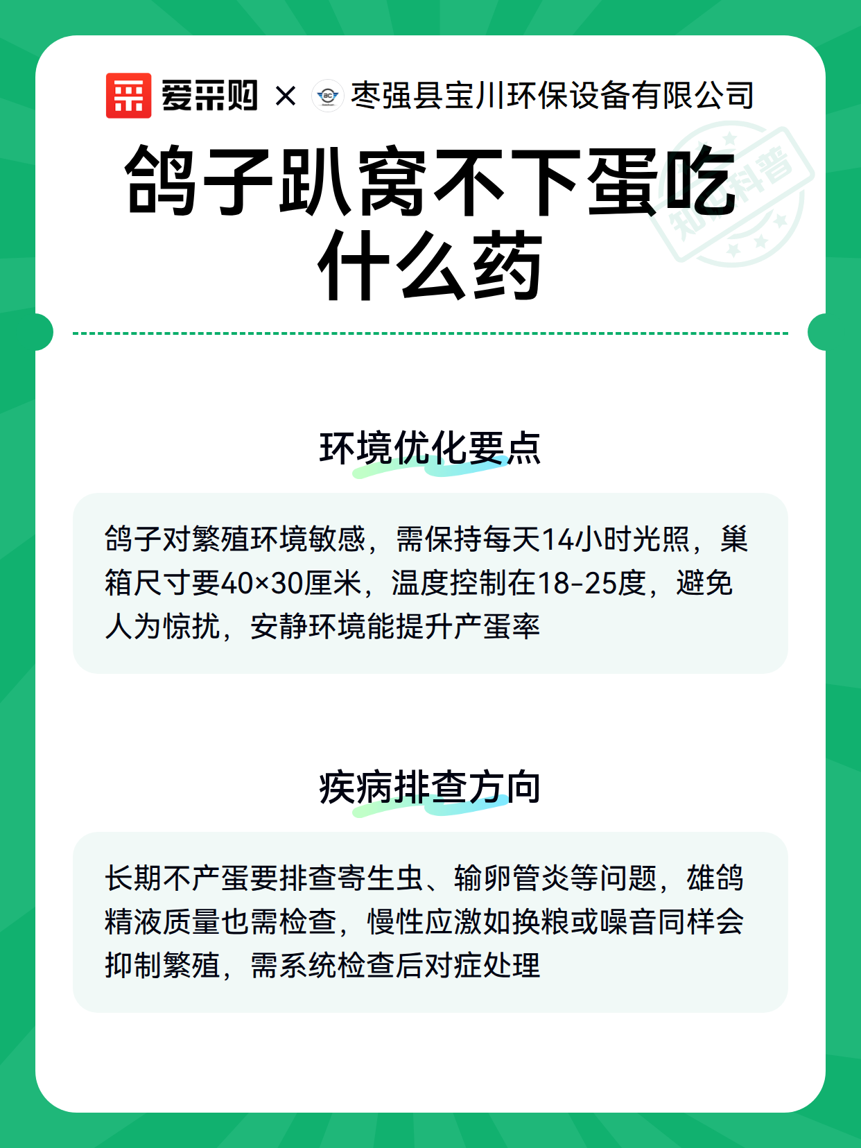 鸽子趴窝不下蛋吃什么药（图2）