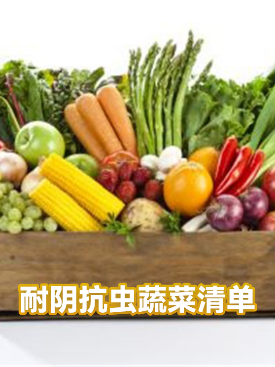 耐阴抗虫蔬菜清单（图1）