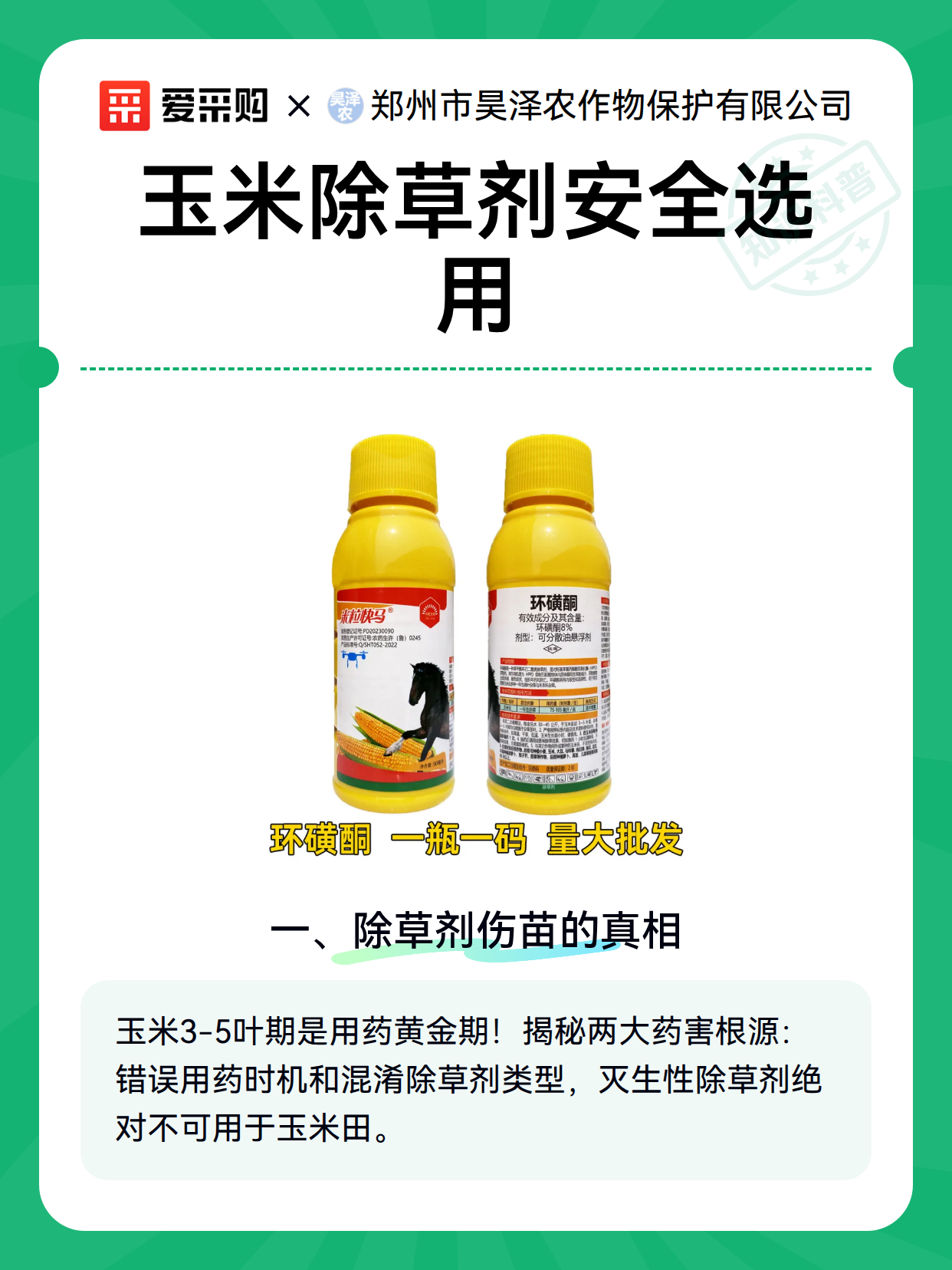 玉米除草剂安全选用（图2）