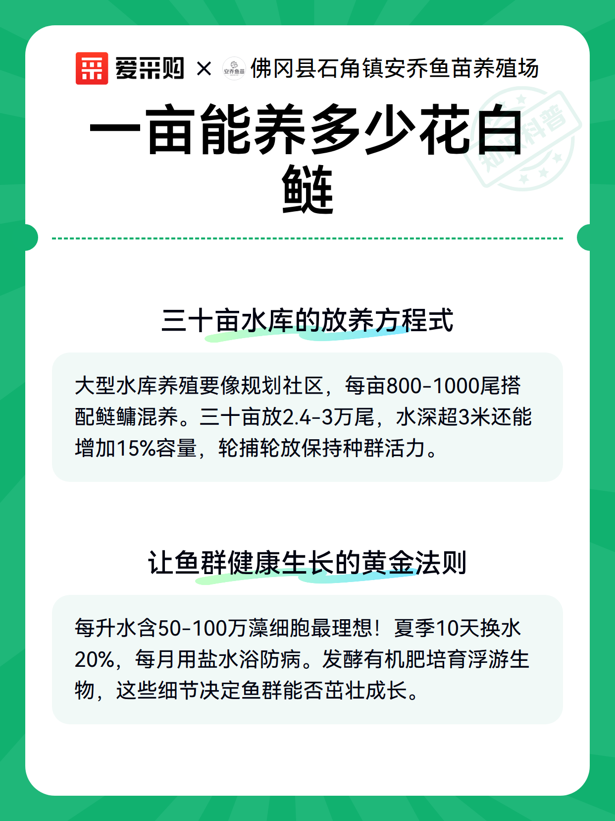 一亩能养多少花白鲢（图3）