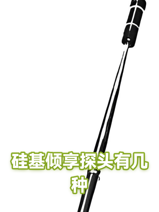 硅基倾享探头有几种（图1）