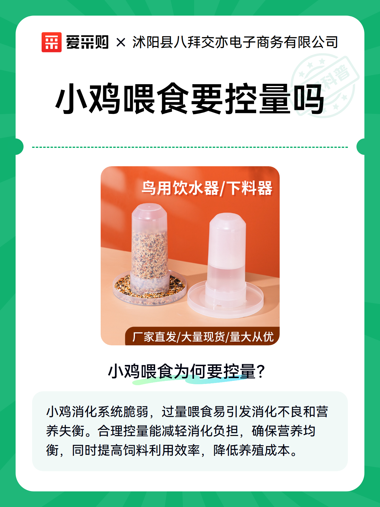 小鸡喂食要控量吗（图1）