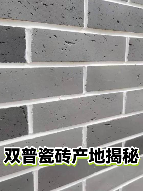 双普瓷砖产地揭秘（图1）