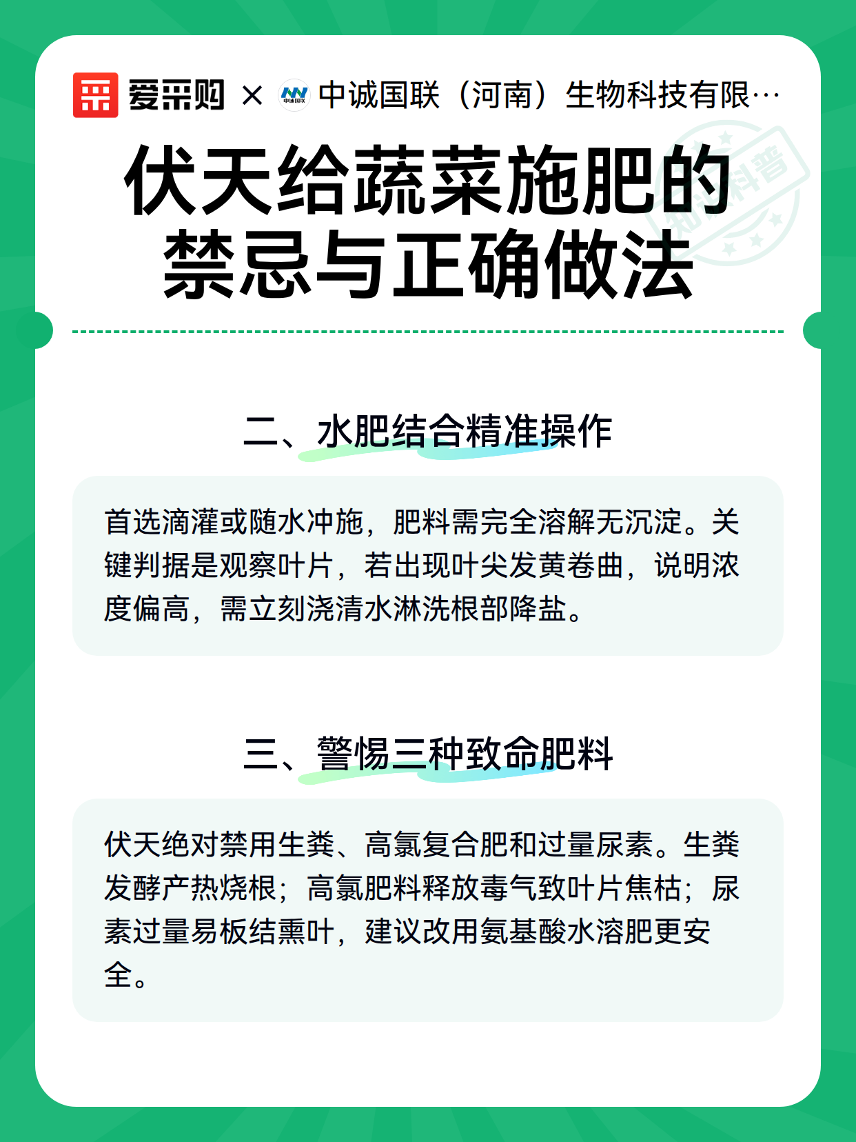 伏天给蔬菜施肥的禁忌与正确做法（图3）