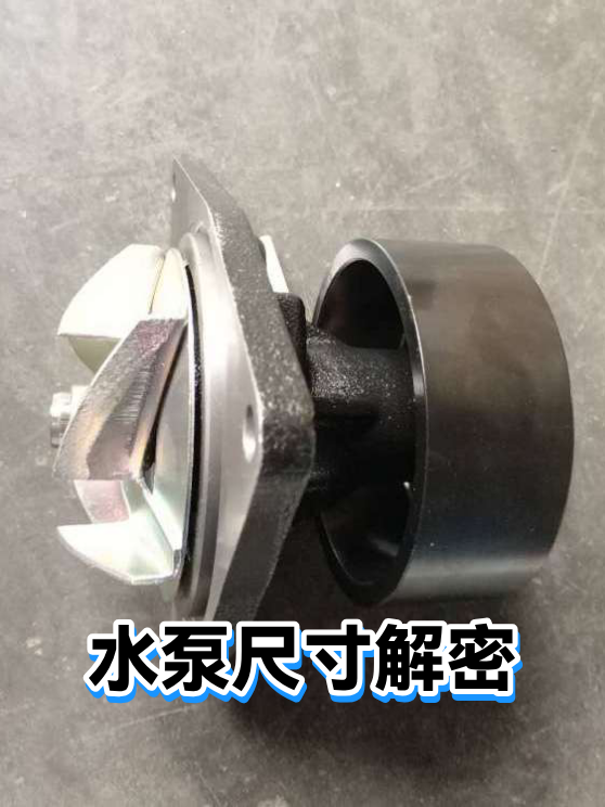 水泵尺寸解密（图1）
