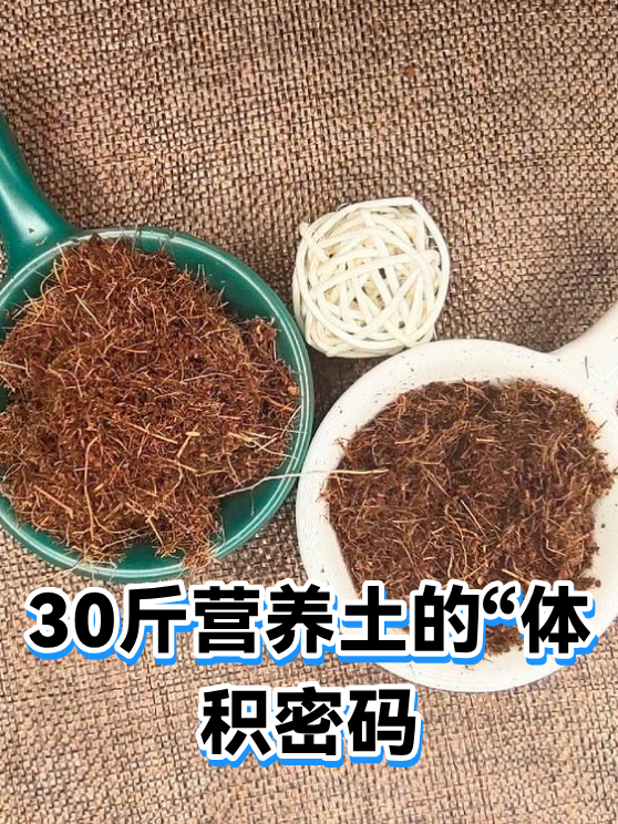 30斤营养土的“体积密码（图1）