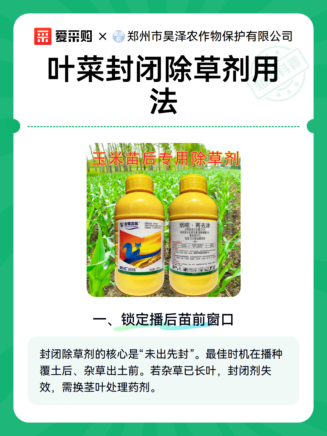 叶菜封闭除草剂用法（图1）